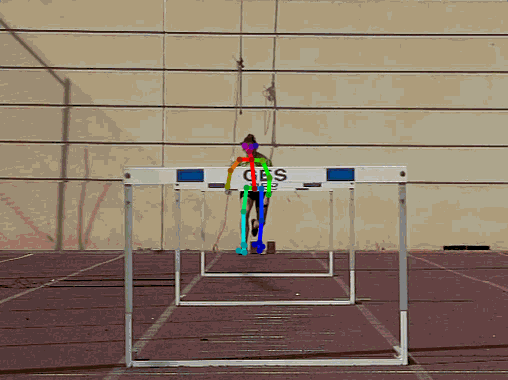 ../_images/091-openpose.gif